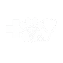 Veterinários